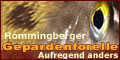 Banner der Hommingberger Gepardenforelle by piperweb.de